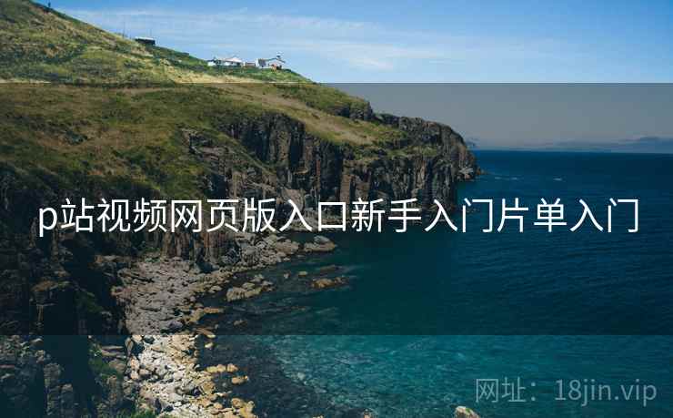 p站视频网页版入口新手入门片单入门