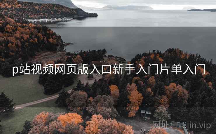 p站视频网页版入口新手入门片单入门