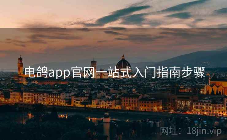 电鸽app官网一站式入门指南步骤