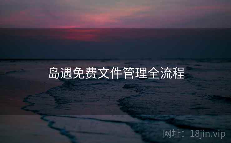 岛遇免费文件管理全流程