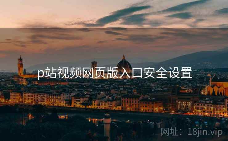 p站视频网页版入口安全设置