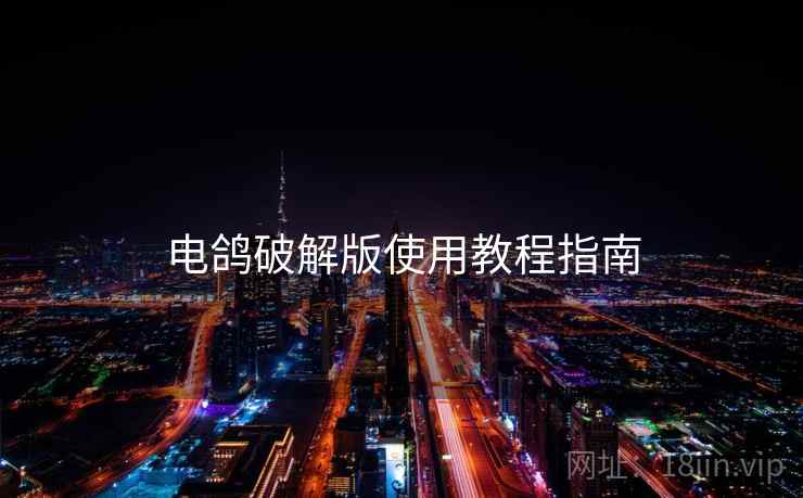 电鸽破解版使用教程指南