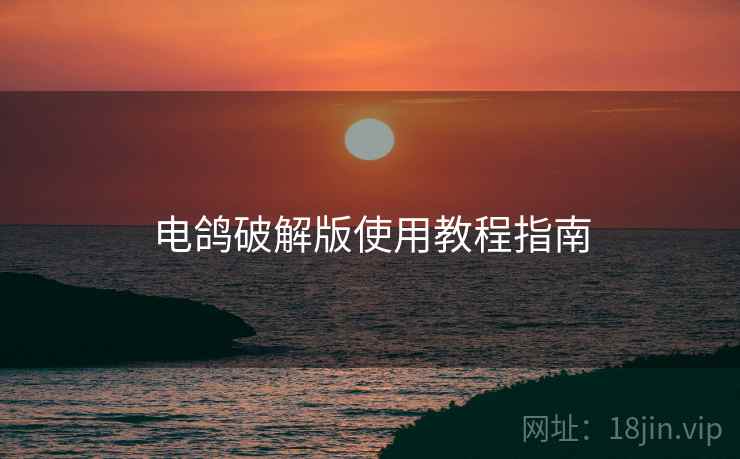 电鸽破解版使用教程指南
