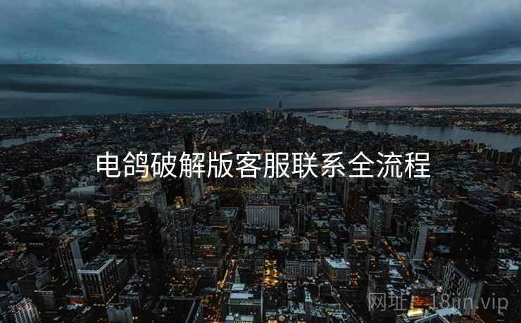 电鸽破解版客服联系全流程