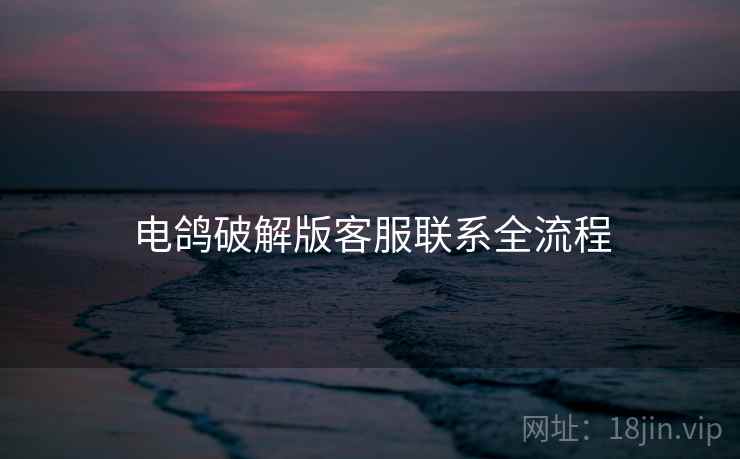 电鸽破解版客服联系全流程