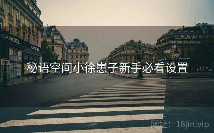 秘语空间小徐崽子新手必看设置
