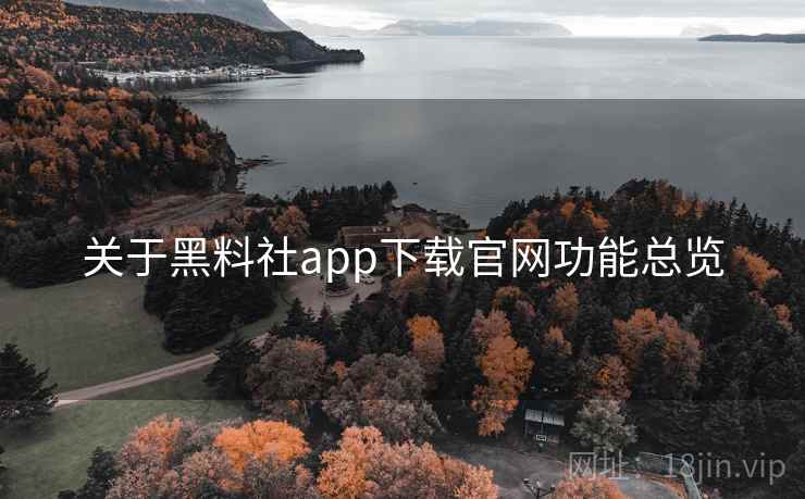 关于黑料社app下载官网功能总览