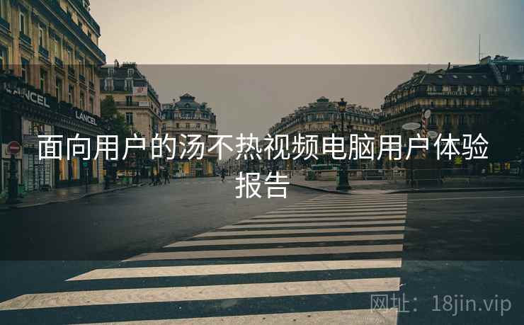面向用户的汤不热视频电脑用户体验报告