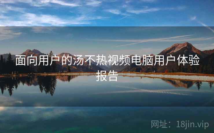 面向用户的汤不热视频电脑用户体验报告