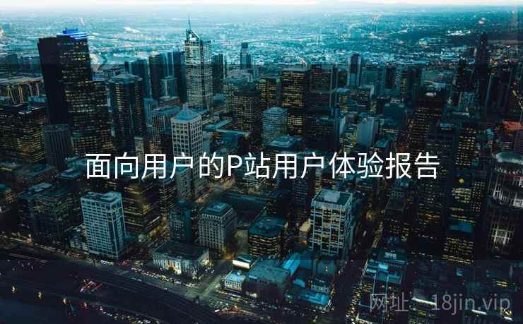 面向用户的P站用户体验报告