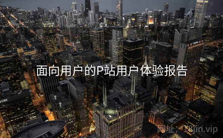 面向用户的P站用户体验报告
