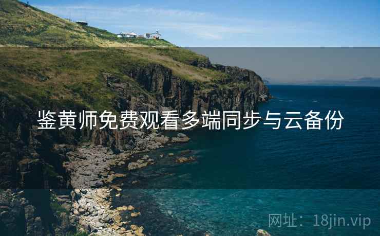 鉴黄师免费观看多端同步与云备份