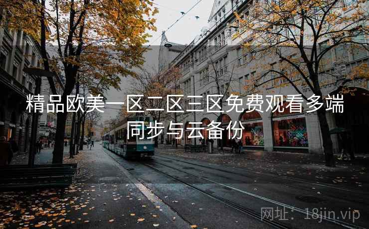 精品欧美一区二区三区免费观看多端同步与云备份