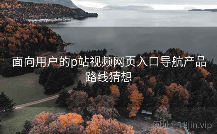 面向用户的p站视频网页入口导航产品路线猜想