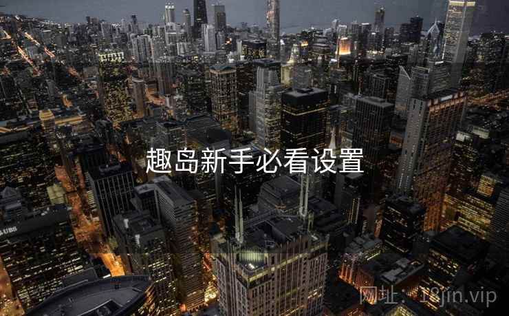 趣岛新手必看设置