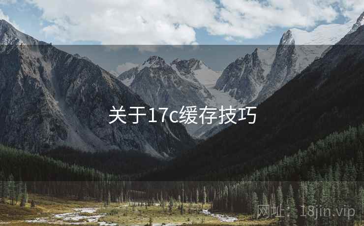 关于17c缓存技巧