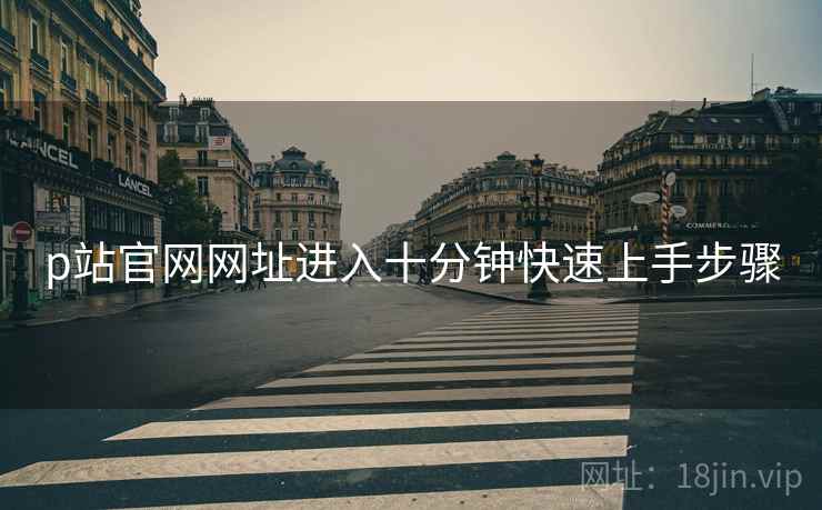 p站官网网址进入十分钟快速上手步骤