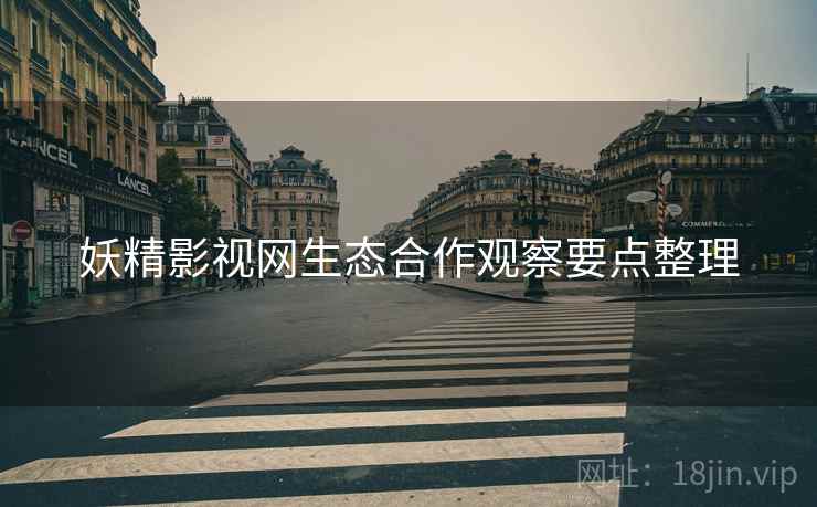 妖精影视网生态合作观察要点整理