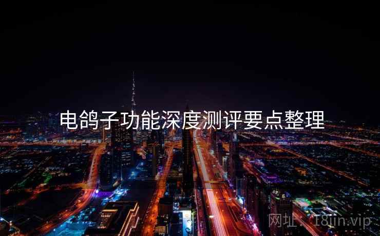 电鸽子功能深度测评要点整理