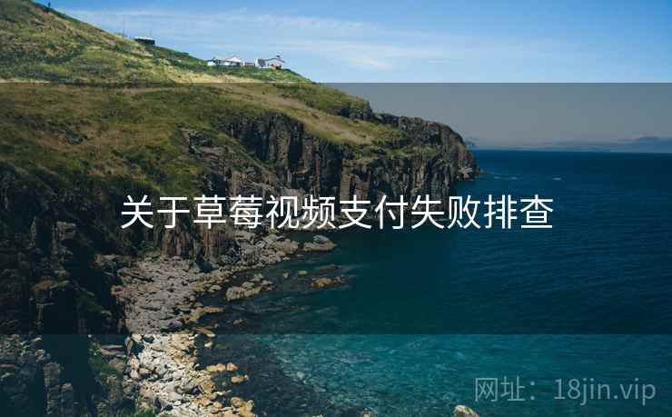 关于草莓视频支付失败排查