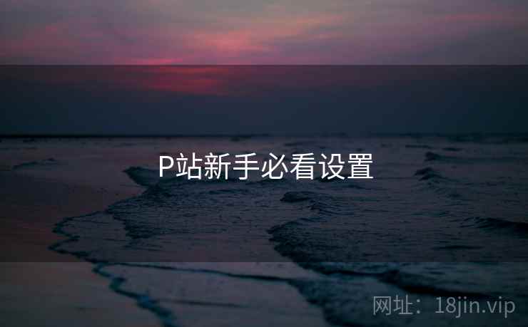 P站新手必看设置