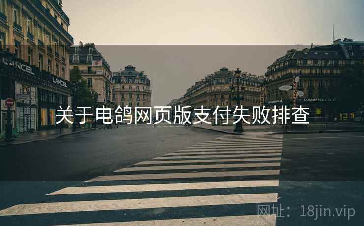关于电鸽网页版支付失败排查