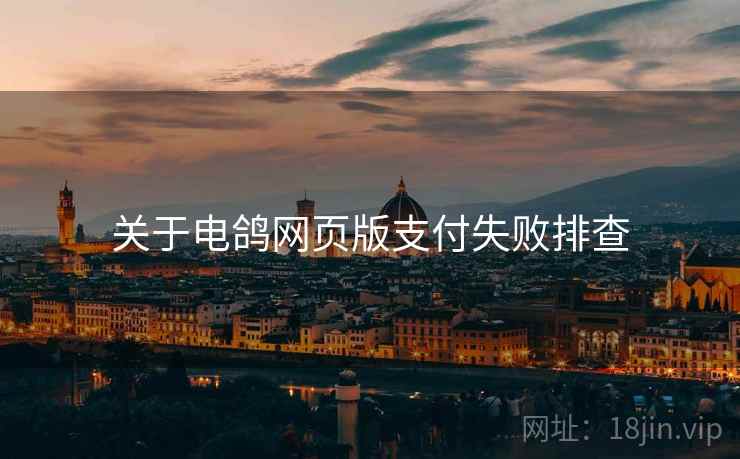 关于电鸽网页版支付失败排查