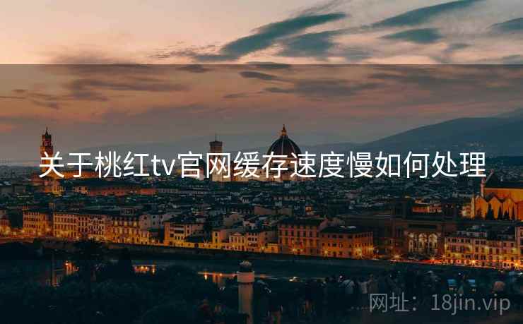 关于桃红tv官网缓存速度慢如何处理
