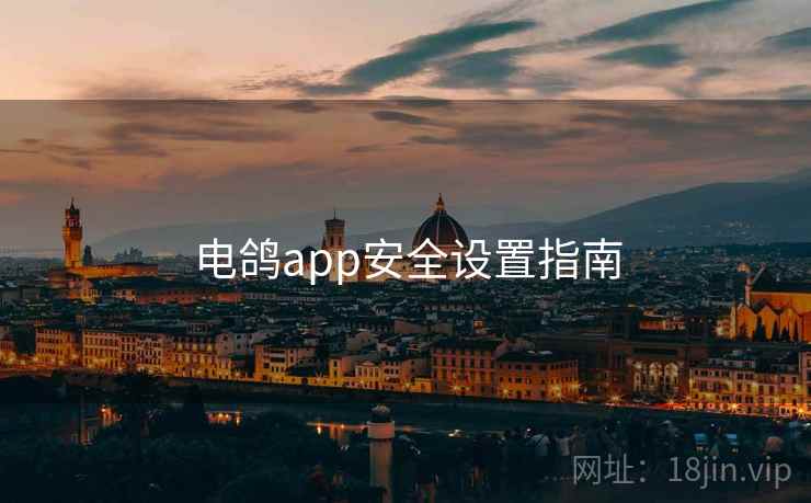 电鸽app安全设置指南