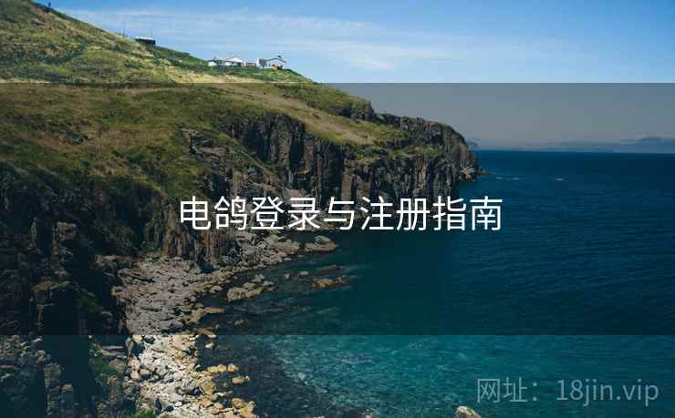 电鸽登录与注册指南