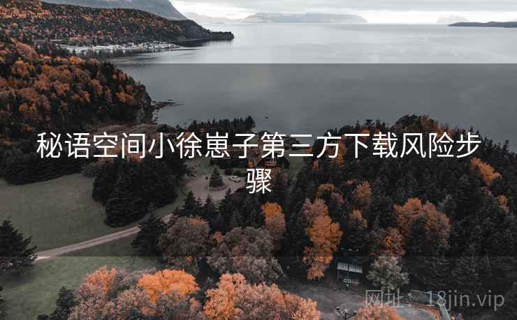 秘语空间小徐崽子第三方下载风险步骤