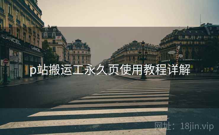 p站搬运工永久页使用教程详解