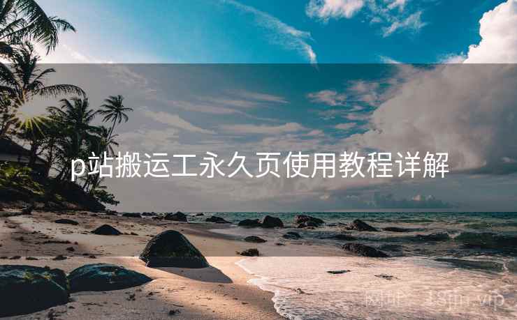 p站搬运工永久页使用教程详解