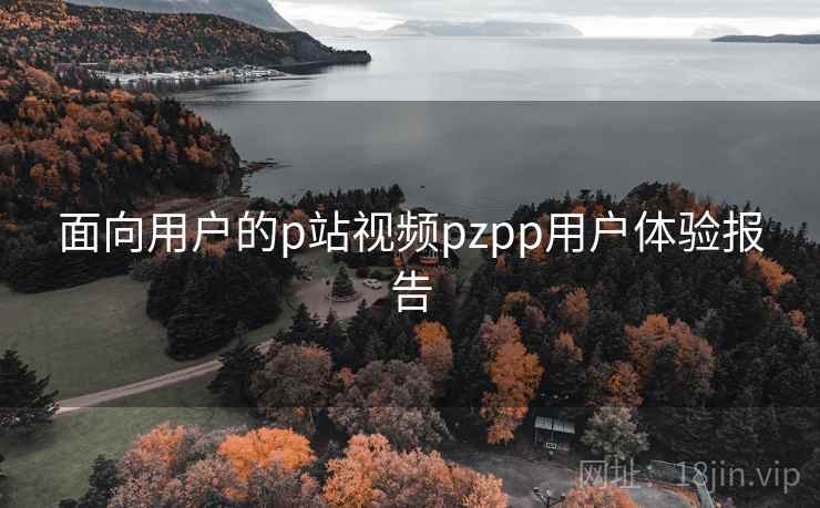 面向用户的p站视频pzpp用户体验报告 面向用户的p站视频pzpp用户体验报告